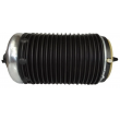 AIR SPRING REAR RIGHT AUDI A6 C7